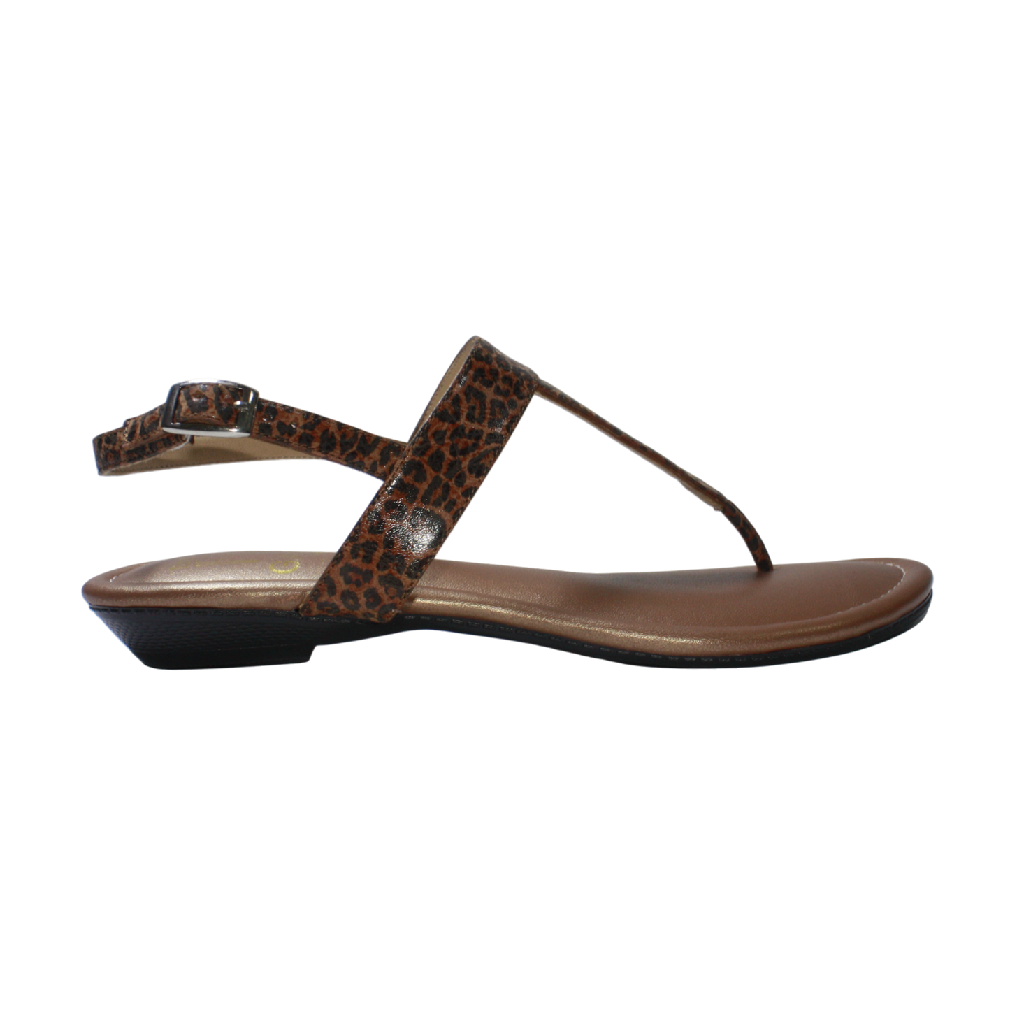 JP102 FLAT PRINT (IT-06332)