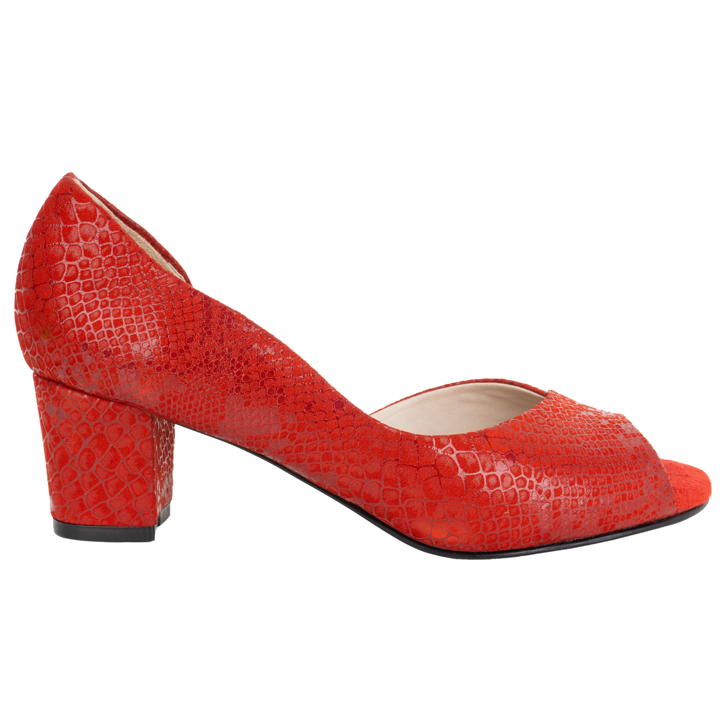 J702 REINA ROJO (IT-04969)